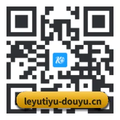 iPhone 专版 二维码